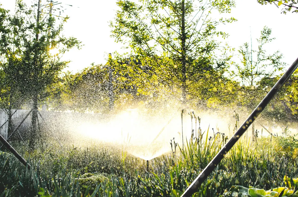 Lawn Being Watered